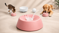 Interactive dog anxiety relief toy
